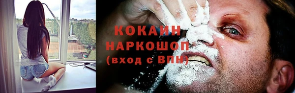 гидра Карпинск