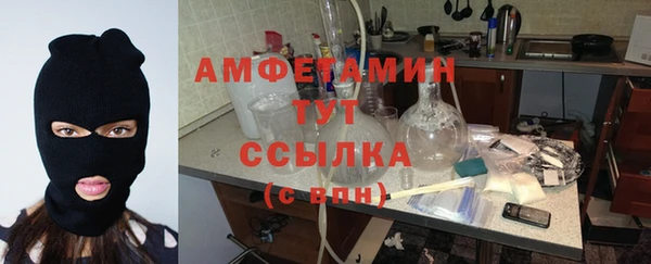 гидра Карпинск