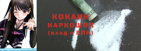 гидра Карпинск