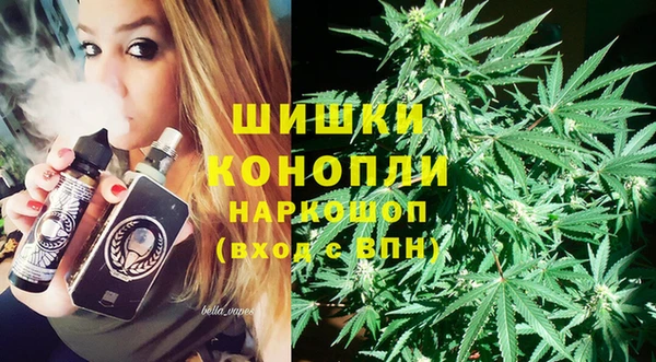 гидра Карпинск