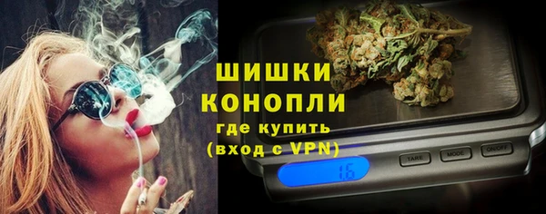 гидра Карпинск