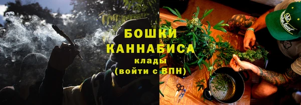 сатива Касимов