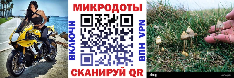 Галлюциногенные грибы MAGIC MUSHROOMS  Купить  Похвистнево 